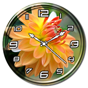Flower Clock Live Wallpaper  Icon