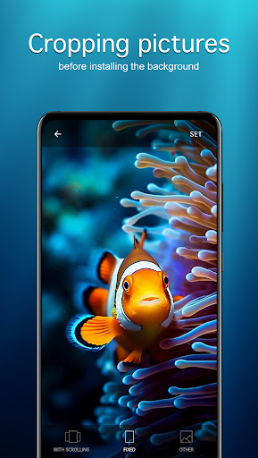 Screenshot of Fish Wallpapers PRO