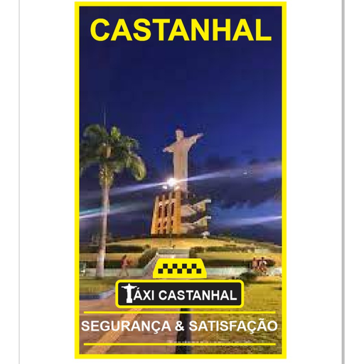 Táxi CASTANHAL - Taxista logo