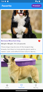 Dog Breeds Huge