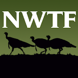 NWTF Turkey Hunting Toolbox icon