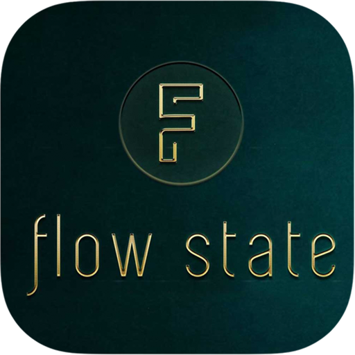 Flow state 1.0 Icon