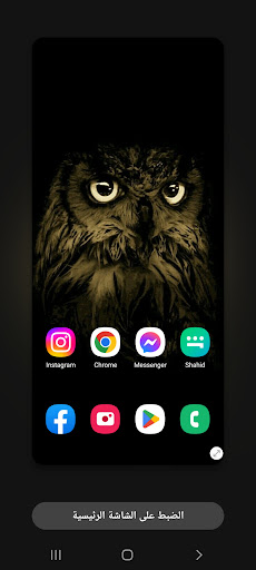 خلفيات 2022 Wallpapers Owl 4k Screen 3