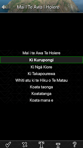 Ngāti Koata Screen 3