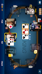 Texas Holdem Poker Pro