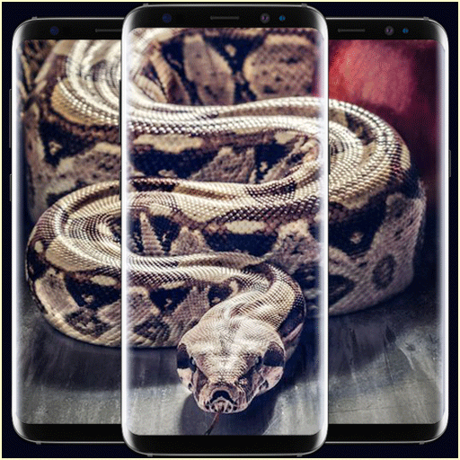 Snake Pythons Wallpaper logo