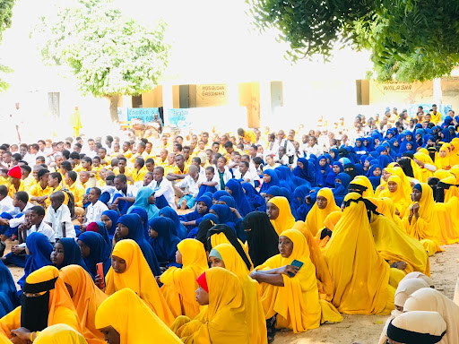 Ali Hussein School Exam