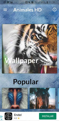 Android application Animales HD Fondo de Pantalla screenshort