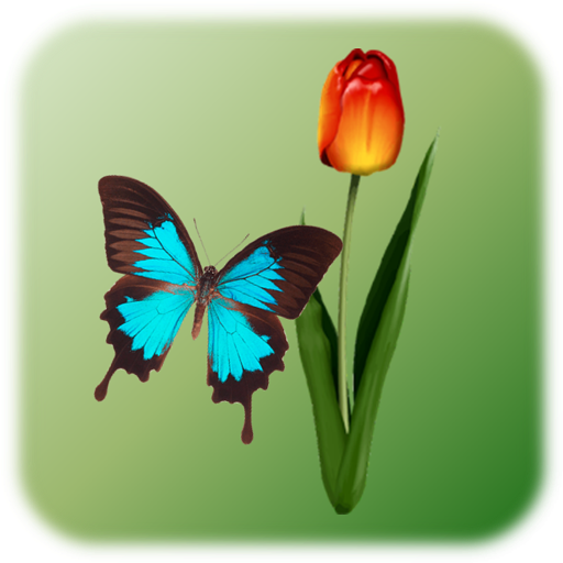 Butterfly Tap  Icon