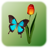 Butterfly Tap