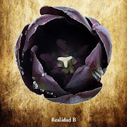 EL TULIPÁN NEGRO - LIBRO GRATIS EN ESPAÑOL