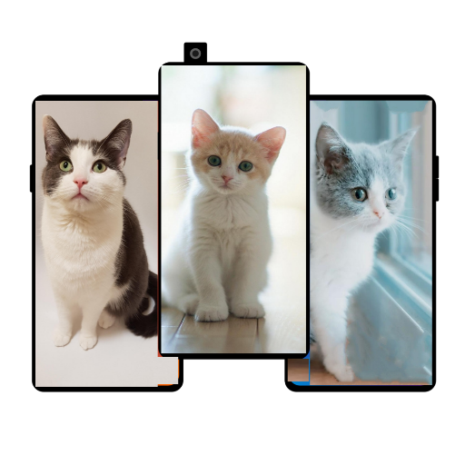Cute Cats Wallpapers 4k pics logo