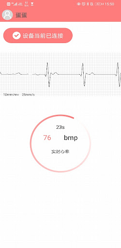 BP+ECG Screen 2