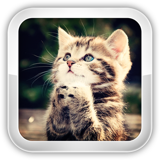 Jogo de Gato – Apps no Google Play