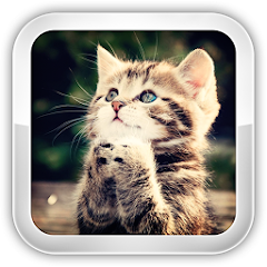 Jogos offline de gatos – Apps no Google Play
