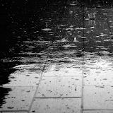 live wallpapers rain water icon