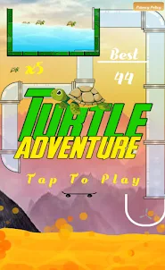 Turtle Fire Adventure