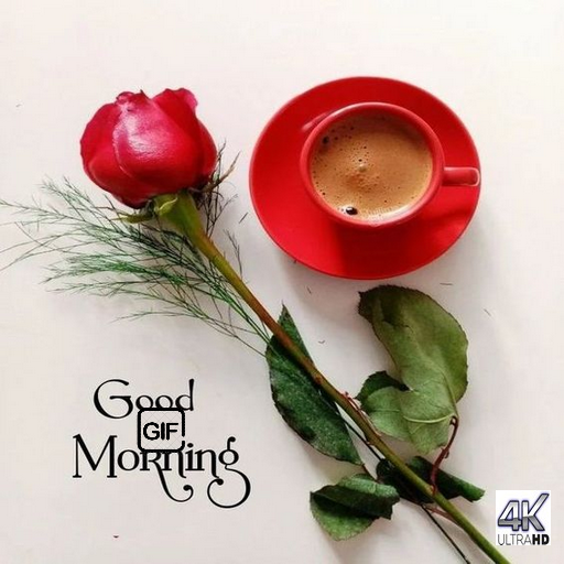GoodMorning GoodNight GIF 2023 Download on Windows