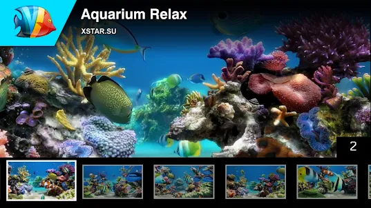 Aquarium Relax
