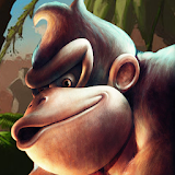 Donkey Kong Country 4 Hinto icon