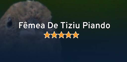 Android application Fêmea De Tiziu Piando screenshort