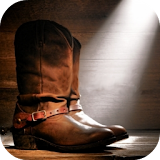 Country Dance Lessons icon