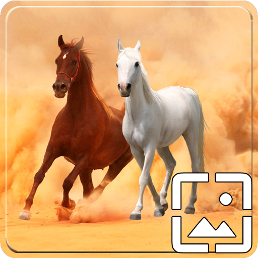 Horses Wallpapers Hd