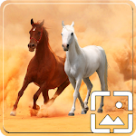 Cover Image of Télécharger Horses Wallpapers Hd  APK