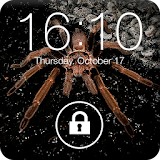 Spider in Phone Screen Lock icon