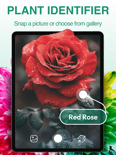 PlantExpert Leaf Identifier