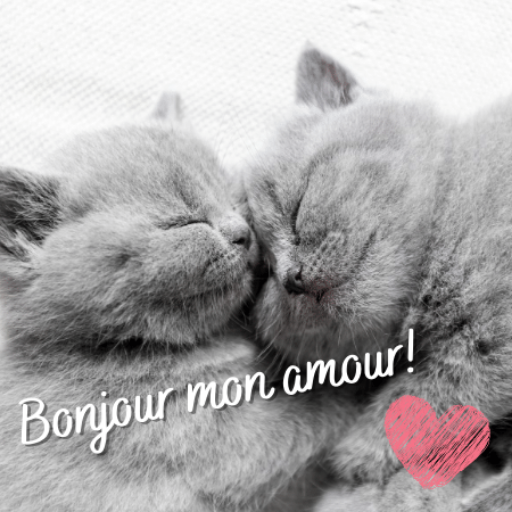 Entry Telegraph Allocation Bonjour Mon Amour Asia Condom Whip