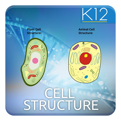 Download Biology Cell Structure (2).apk for Android 