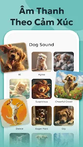 Dịch Tiếng Chó: Dog Translator