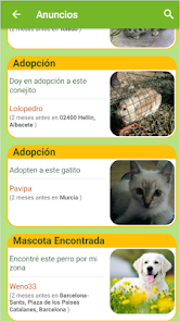 Captura 5 Social Animals android