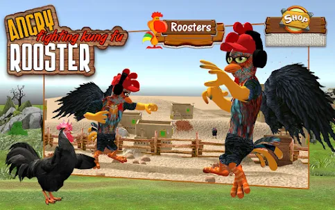 Angry Rooster Fighting Kung Fu