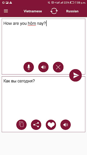 Vietnamese-Russian Translator Screen 3