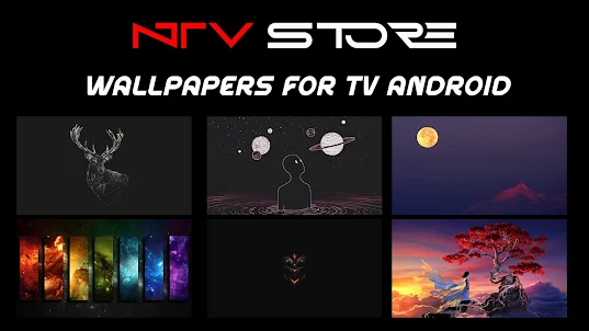 NTV Store