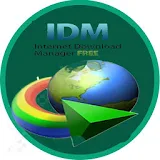 Internet Download Manager (IDM) icon
