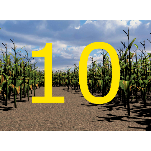 Walla Walla Corn Maze Year 10 logo