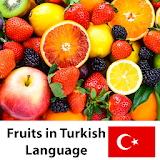 Learn Fruits Vegetables in Turkish icon