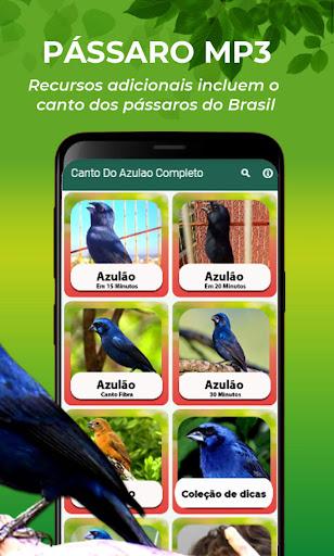 Canto Do Azulao Completo Screen 3