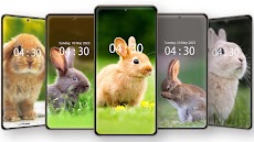 Cute Rabbit Wallpaper HDのおすすめ画像1
