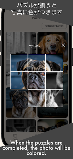 MY PET PUZZLE Screen 2