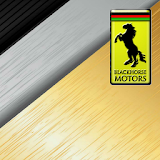 Blackhorse Motors icon