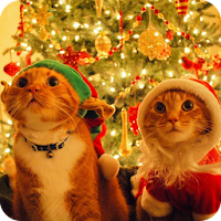 Рождество Cat Live Wallpaper
