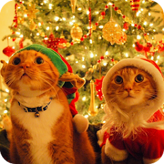 クリスマス猫ライブ壁紙 Google Play のアプリ
