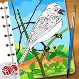 Super Birds Kids Coloring Game icon