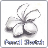 Sketch Pencil Art Picture icon