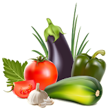 Organic Vegetables Farming icon