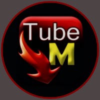 Tube Video Downloader All